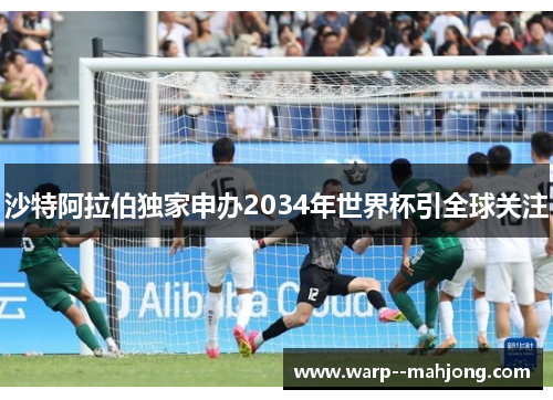 沙特阿拉伯独家申办2034年世界杯引全球关注