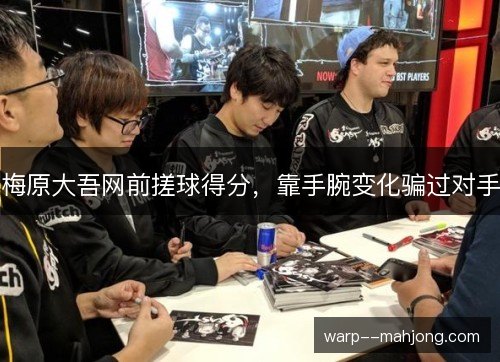 梅原大吾网前搓球得分,靠手腕变化骗过对手 梅原大吾网前搓球得分,靠手腕变化骗过对手